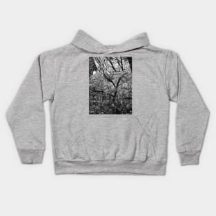 A Woodland Dance Kids Hoodie